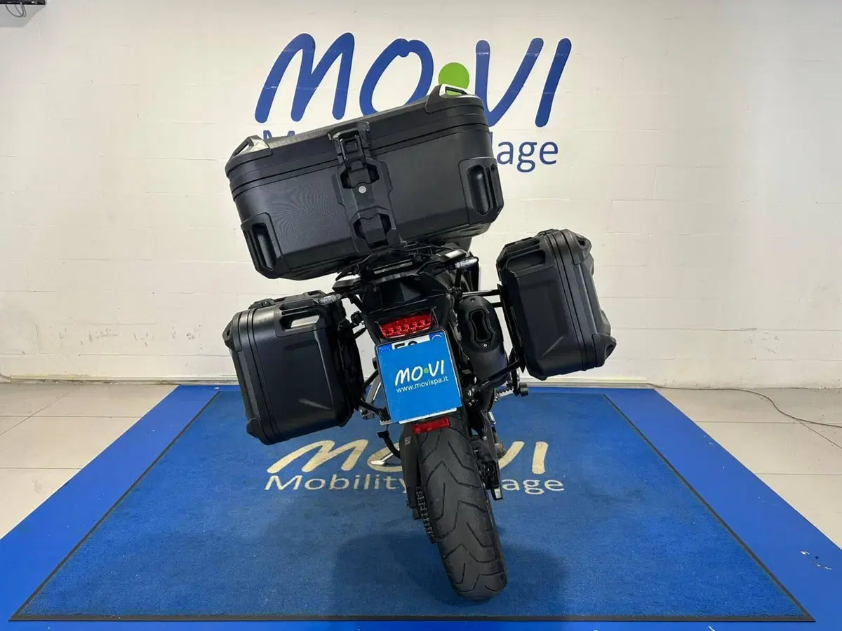 Triumph Tiger 900 Rally Pro (2024 - 26) (3)
