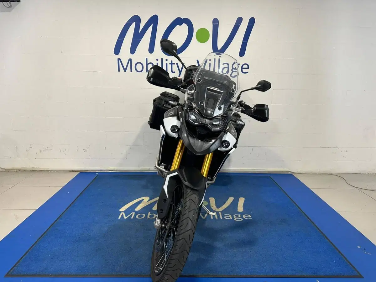 Triumph Tiger 900 Rally Pro (2024 - 26) (7)