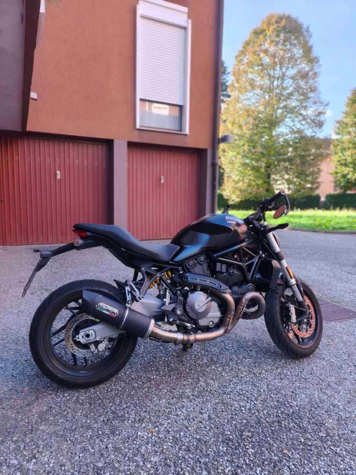 Ducati Monster 821 (2018 - 20)