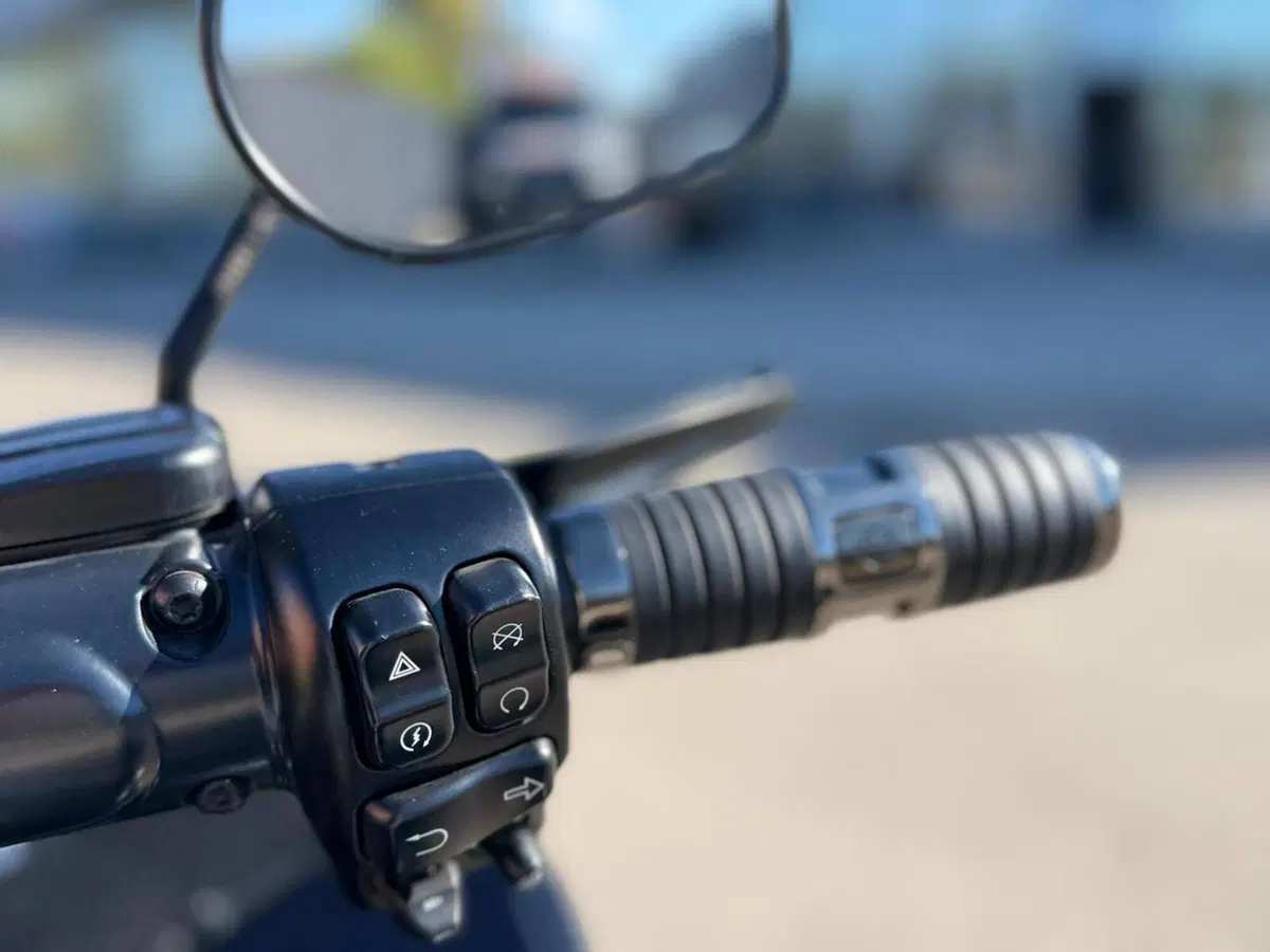 Harley-Davidson CVO Road Glide (2023) (3)