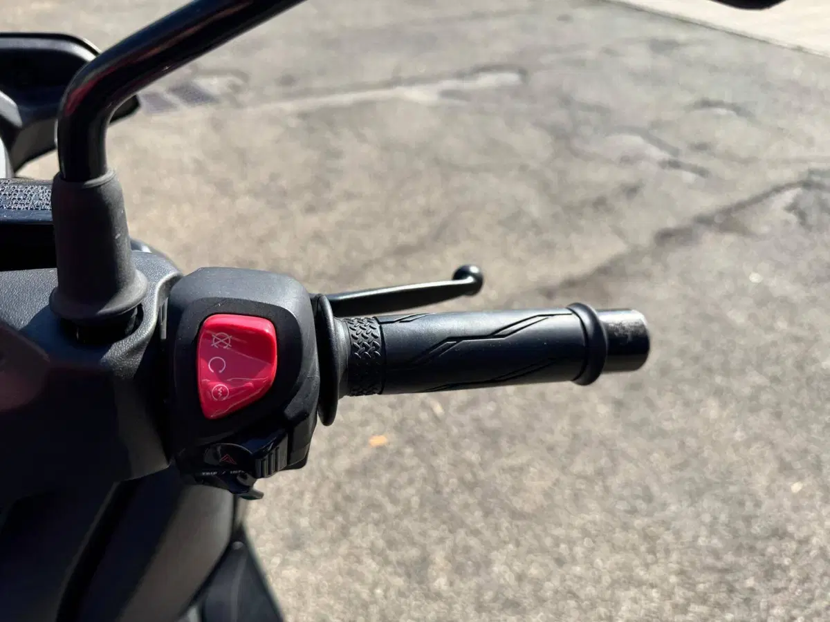 Yamaha X-Max 300 ABS (2017 - 20) (17)