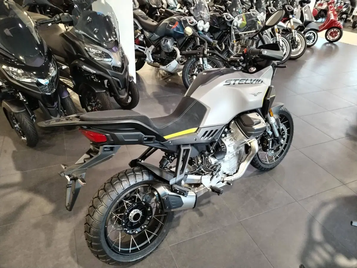 Moto Guzzi Stelvio (2024 - 26) (5)