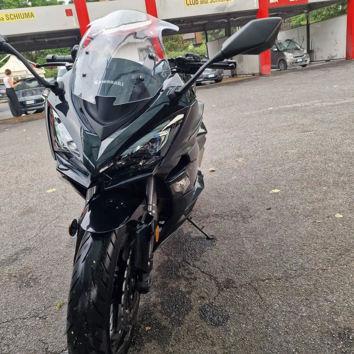 Kawasaki Z 1000 SX Tourer (2017 - 20) (4)