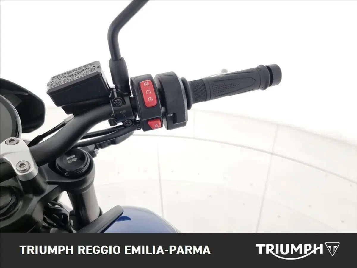 Triumph Trident 660 Triple Tribute Edition (2025 - 26) (10)