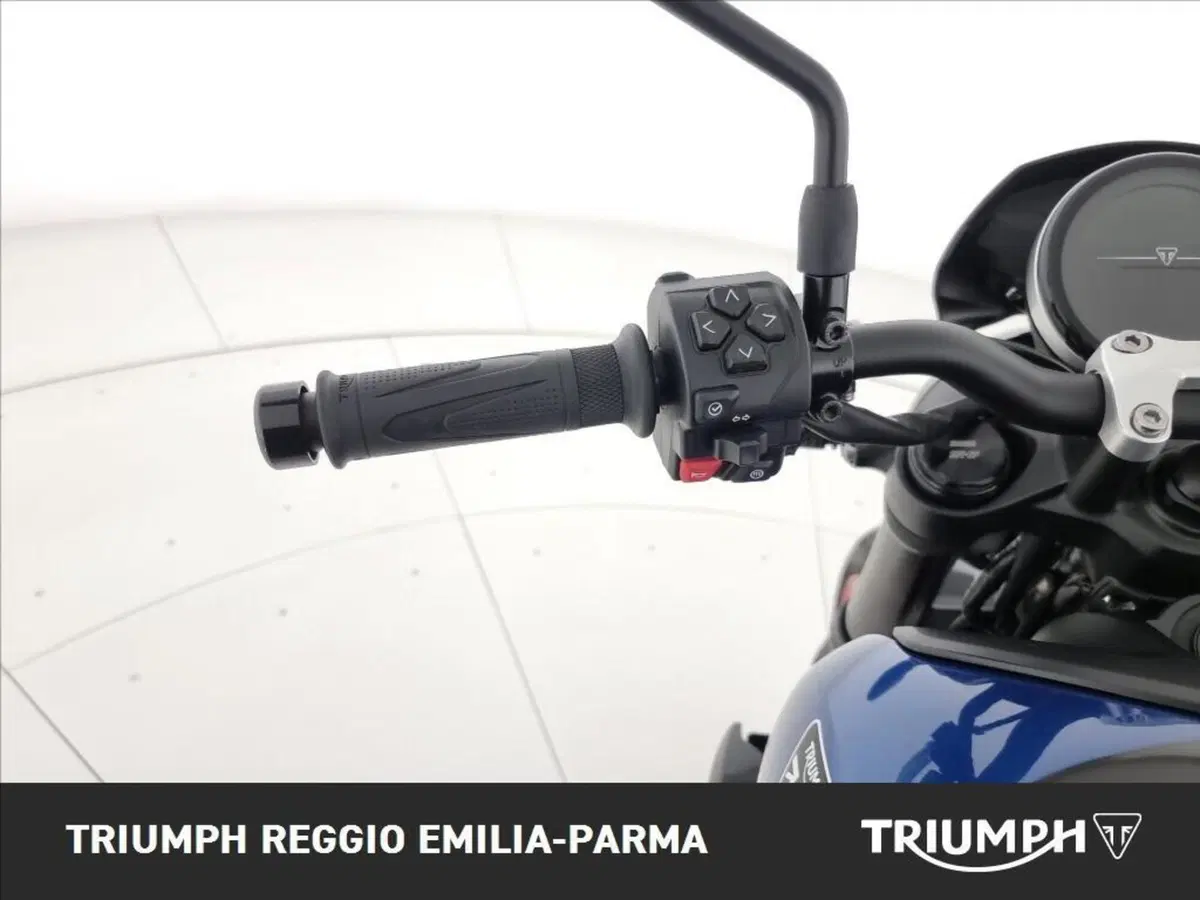 Triumph Trident 660 Triple Tribute Edition (2025 - 26) (11)