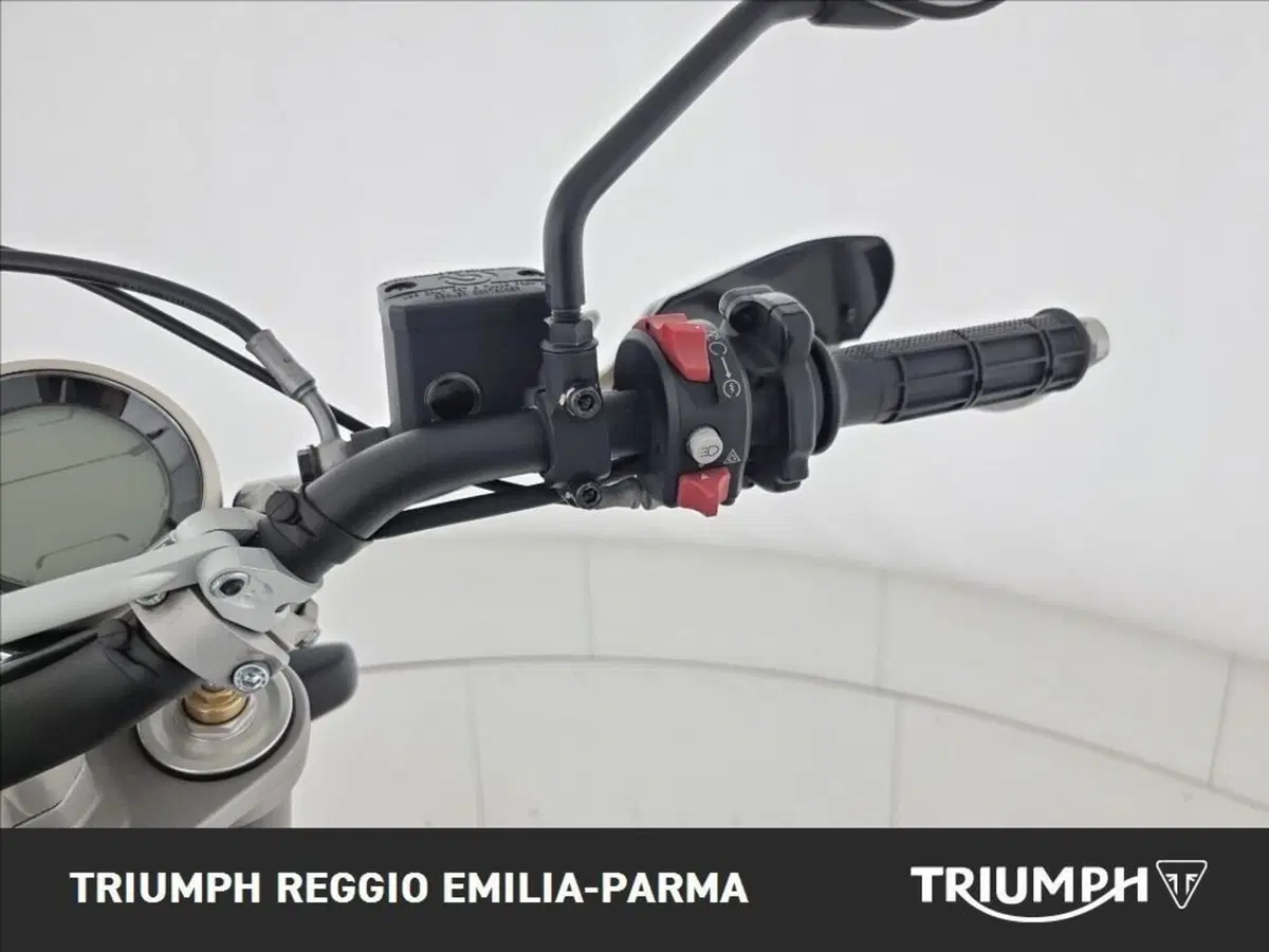 Ducati Scrambler 800 Desert Sled (2021 - 22) (9)