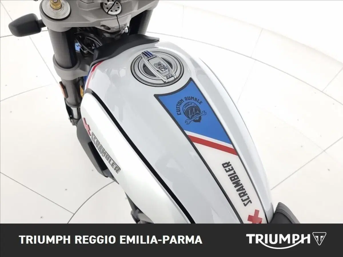 Ducati Scrambler 800 Desert Sled (2021 - 22) (11)