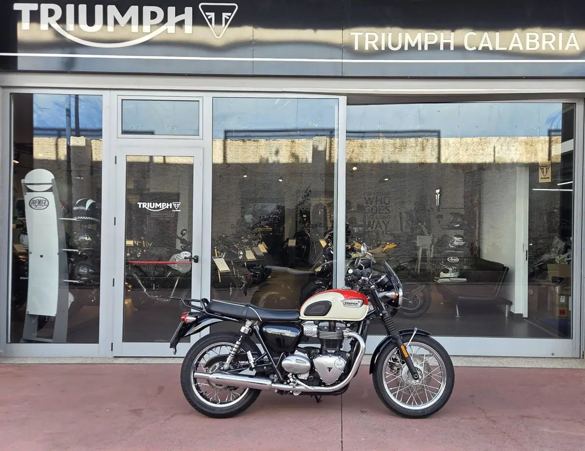 Triumph Bonneville T100 (2017 - 20) (2)