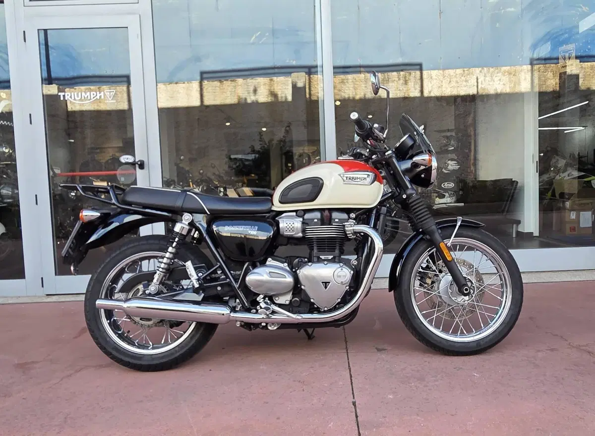 Triumph Bonneville T100 (2017 - 20) (3)