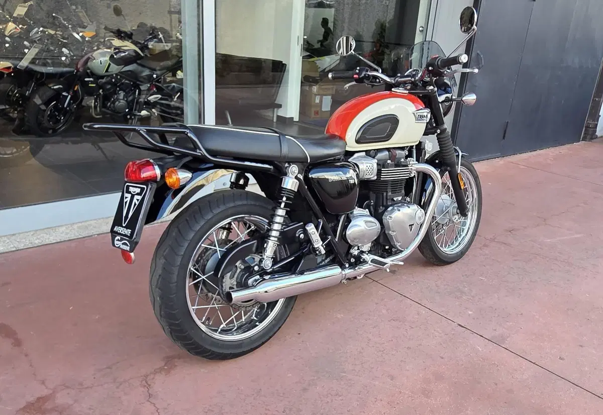Triumph Bonneville T100 (2017 - 20) (4)
