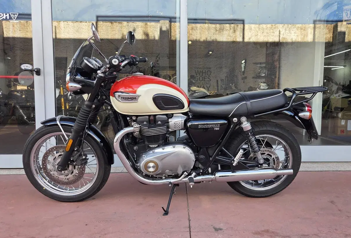 Triumph Bonneville T100 (2017 - 20) (6)