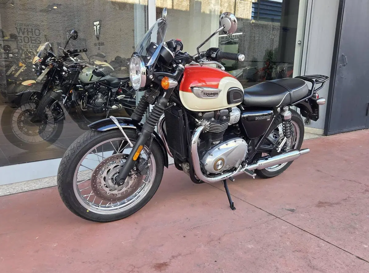 Triumph Bonneville T100 (2017 - 20) (7)