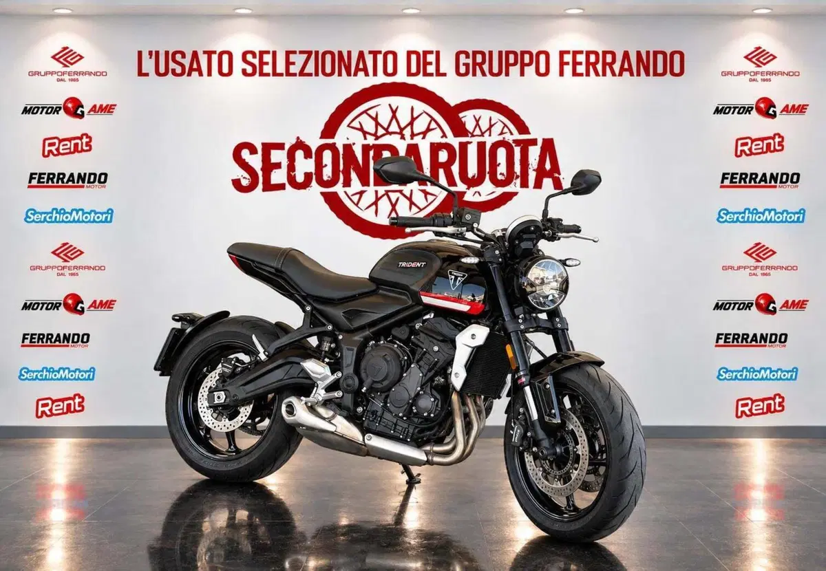 Triumph Trident 660 (2021 - 24) (2)