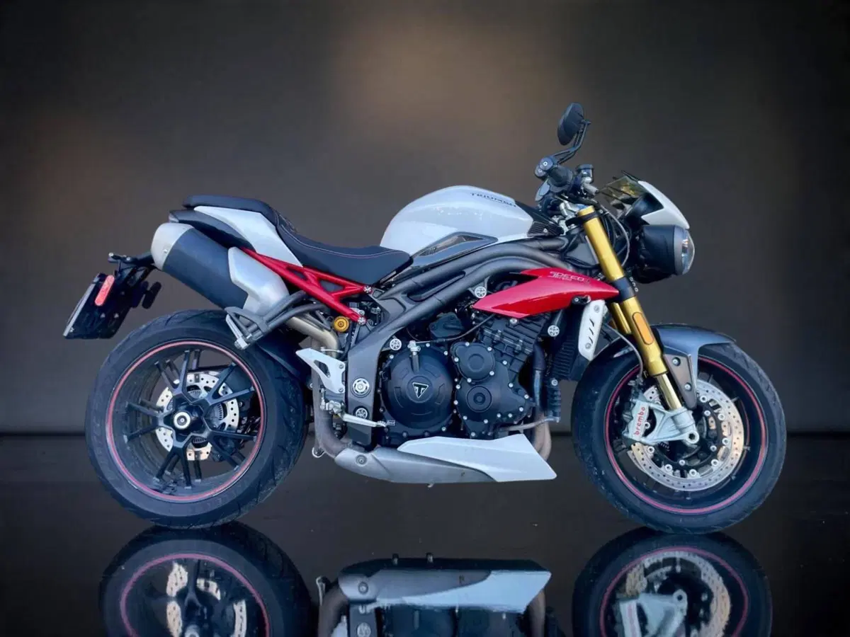 Triumph Speed Triple 1050 R ABS (2016 - 17) (2)