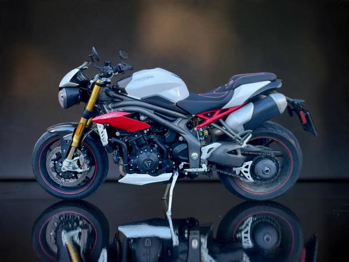 Triumph Speed Triple 1050 R ABS (2016 - 17) (3)