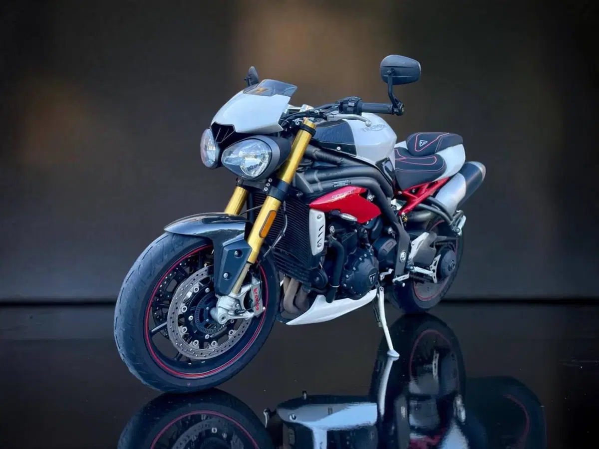 Triumph Speed Triple 1050 R ABS (2016 - 17) (4)