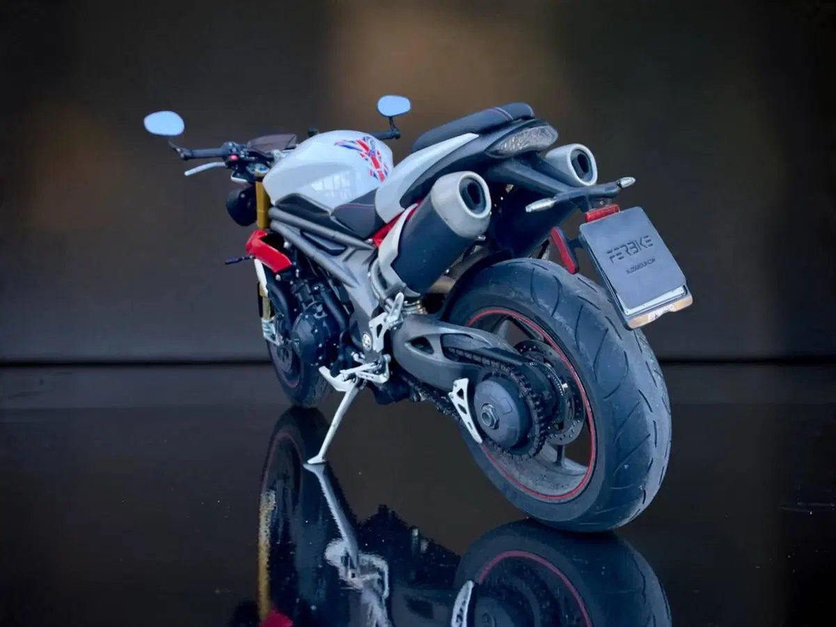Triumph Speed Triple 1050 R ABS (2016 - 17) (5)