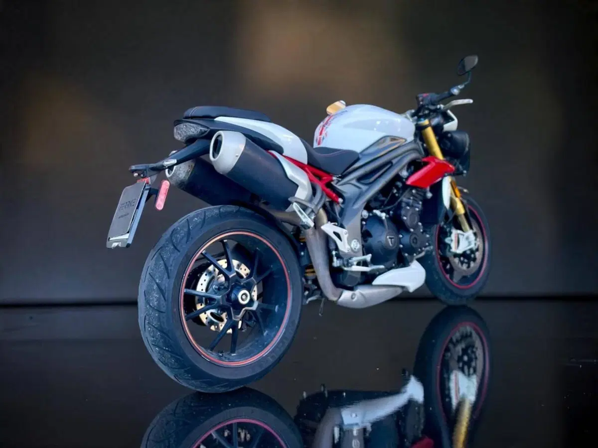 Triumph Speed Triple 1050 R ABS (2016 - 17) (6)