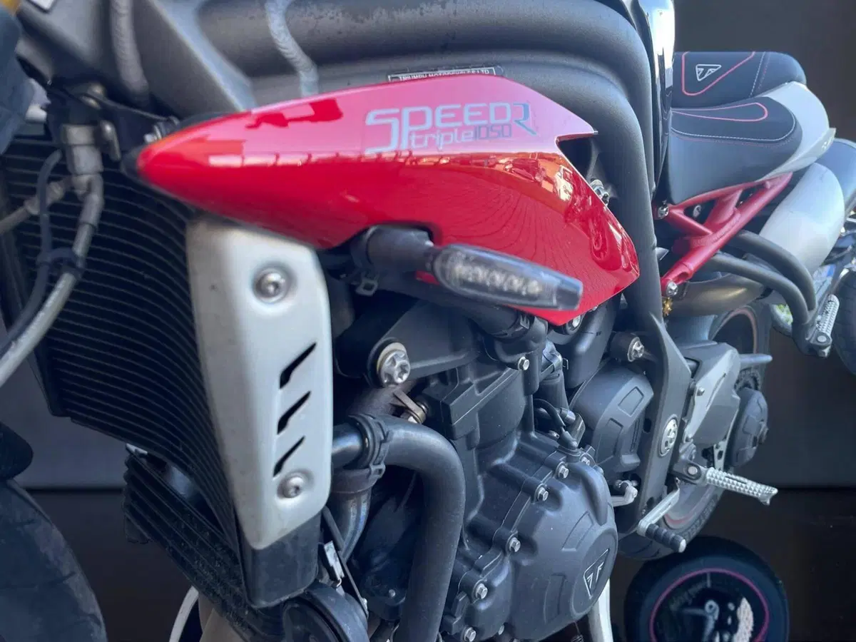 Triumph Speed Triple 1050 R ABS (2016 - 17) (7)