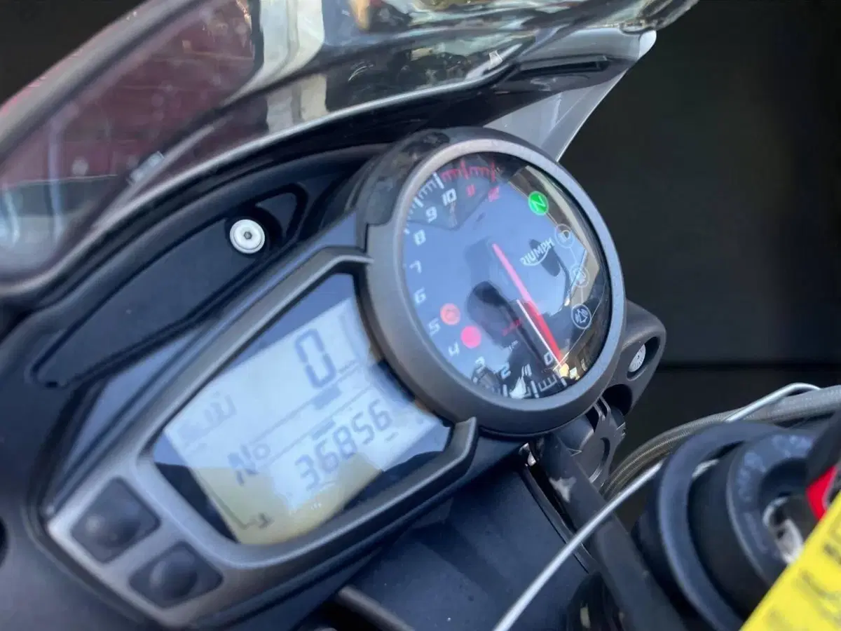 Triumph Speed Triple 1050 R ABS (2016 - 17) (9)