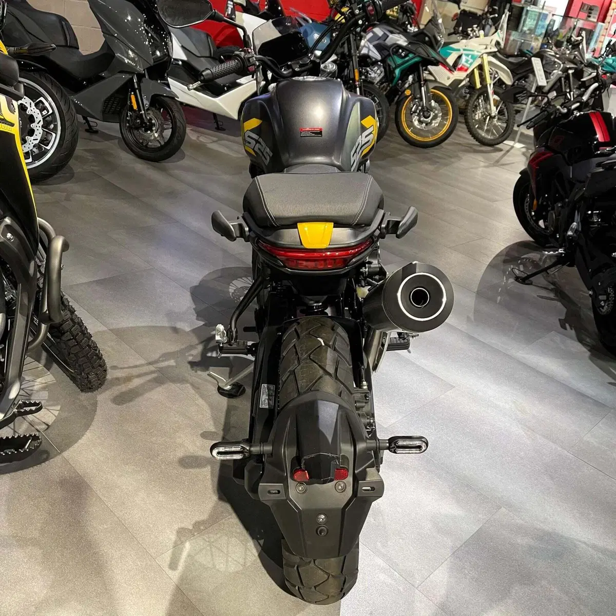 Voge Trofeo 525ACX Scrambler (2023 - 26) (4)