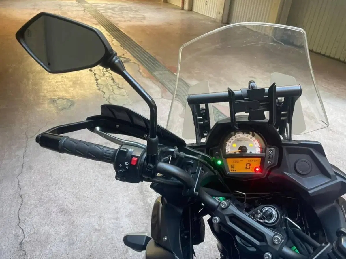 Kawasaki Versys 650 Grand Tourer (2017 - 20) (3)