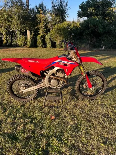 Honda CRF 250R (2023) usata