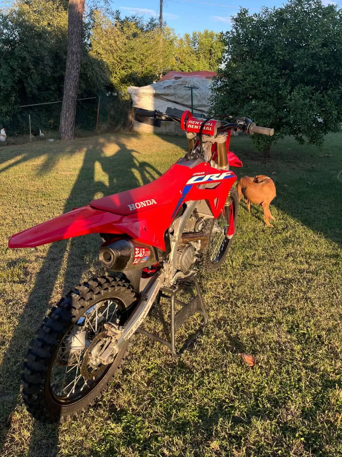 Honda CRF 250R (2023) (2)
