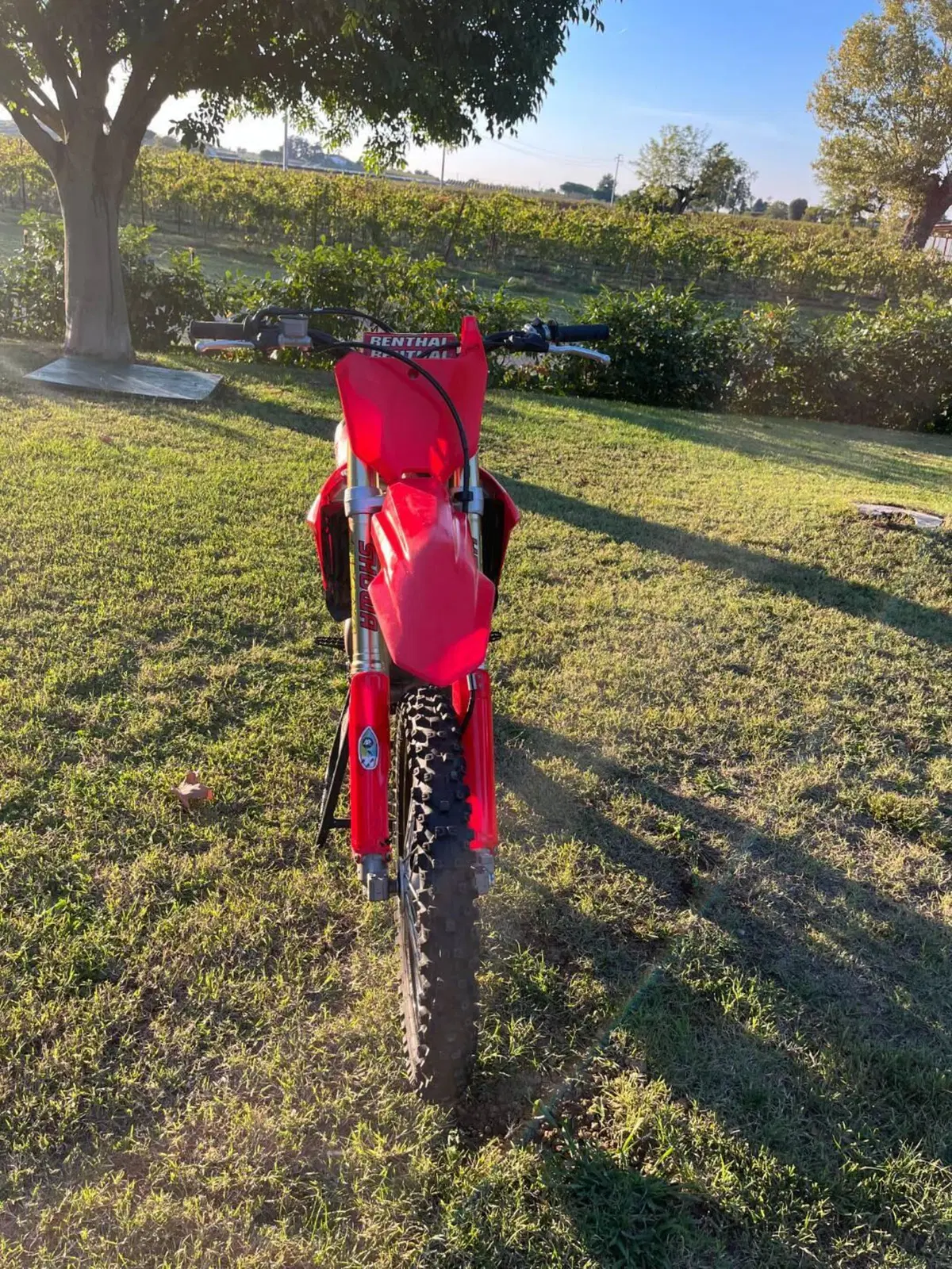 Honda CRF 250R (2023) (7)
