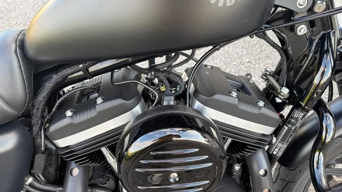 Harley-Davidson 883 Iron (2017 - 20) - XL 883N (4)
