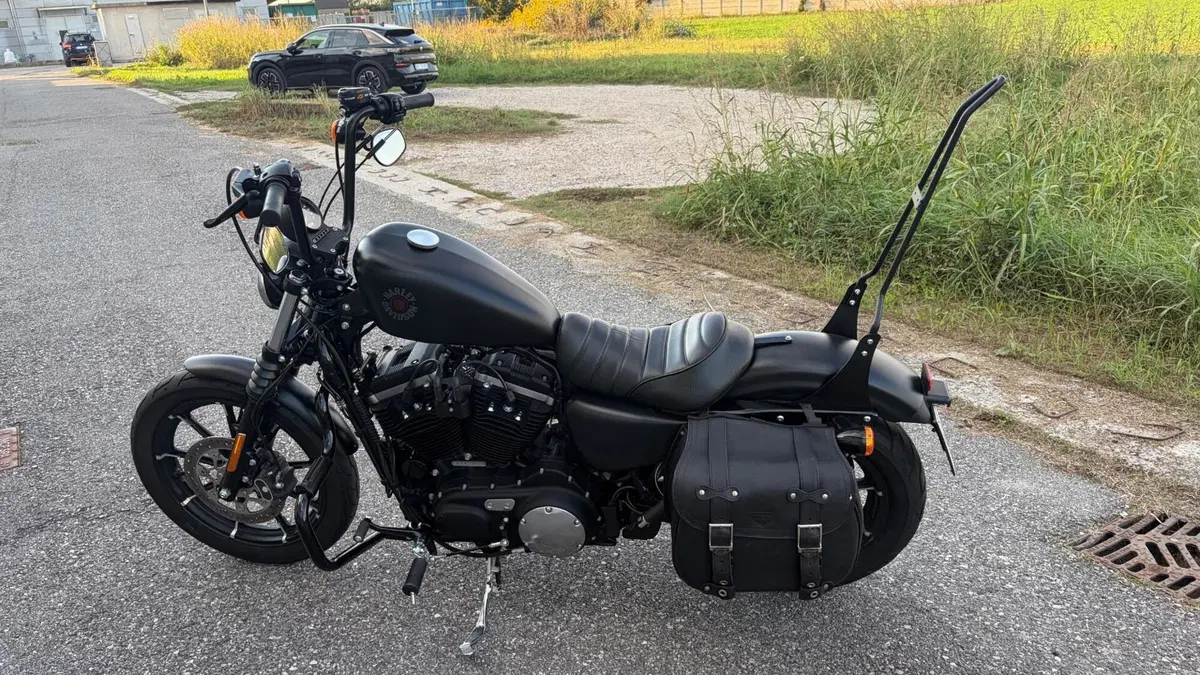 Harley-Davidson 883 Iron (2017 - 20) - XL 883N (5)