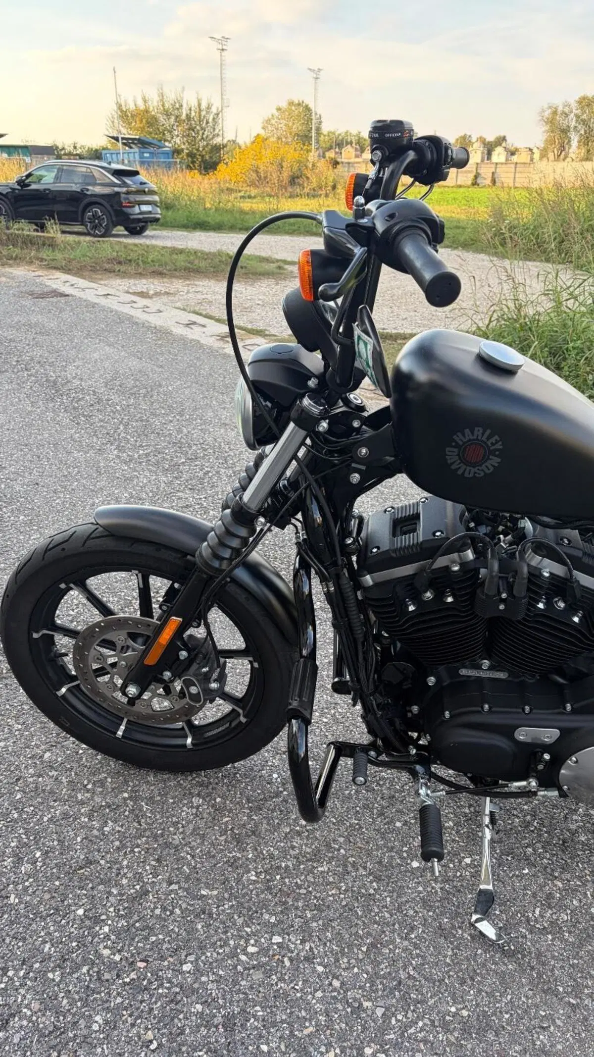 Harley-Davidson 883 Iron (2017 - 20) - XL 883N (7)