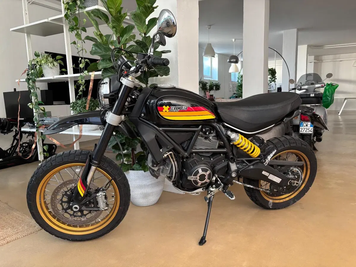 Ducati Scrambler 800 Desert Sled (2017 - 20) (5)