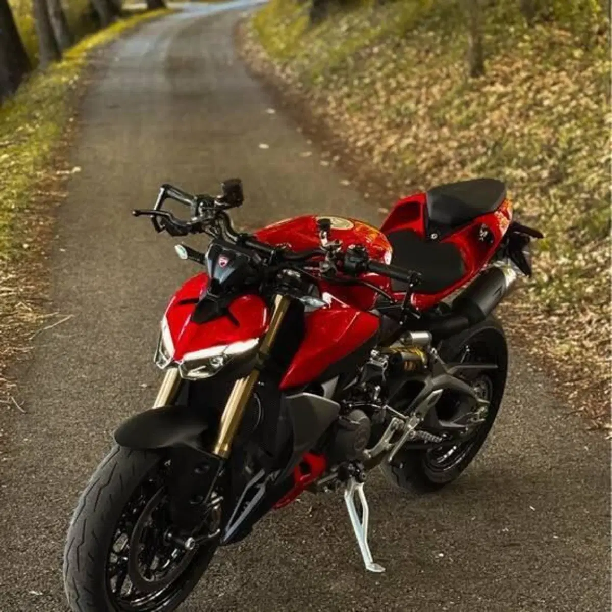 Ducati Streetfighter V2 (2025 - 26) (3)