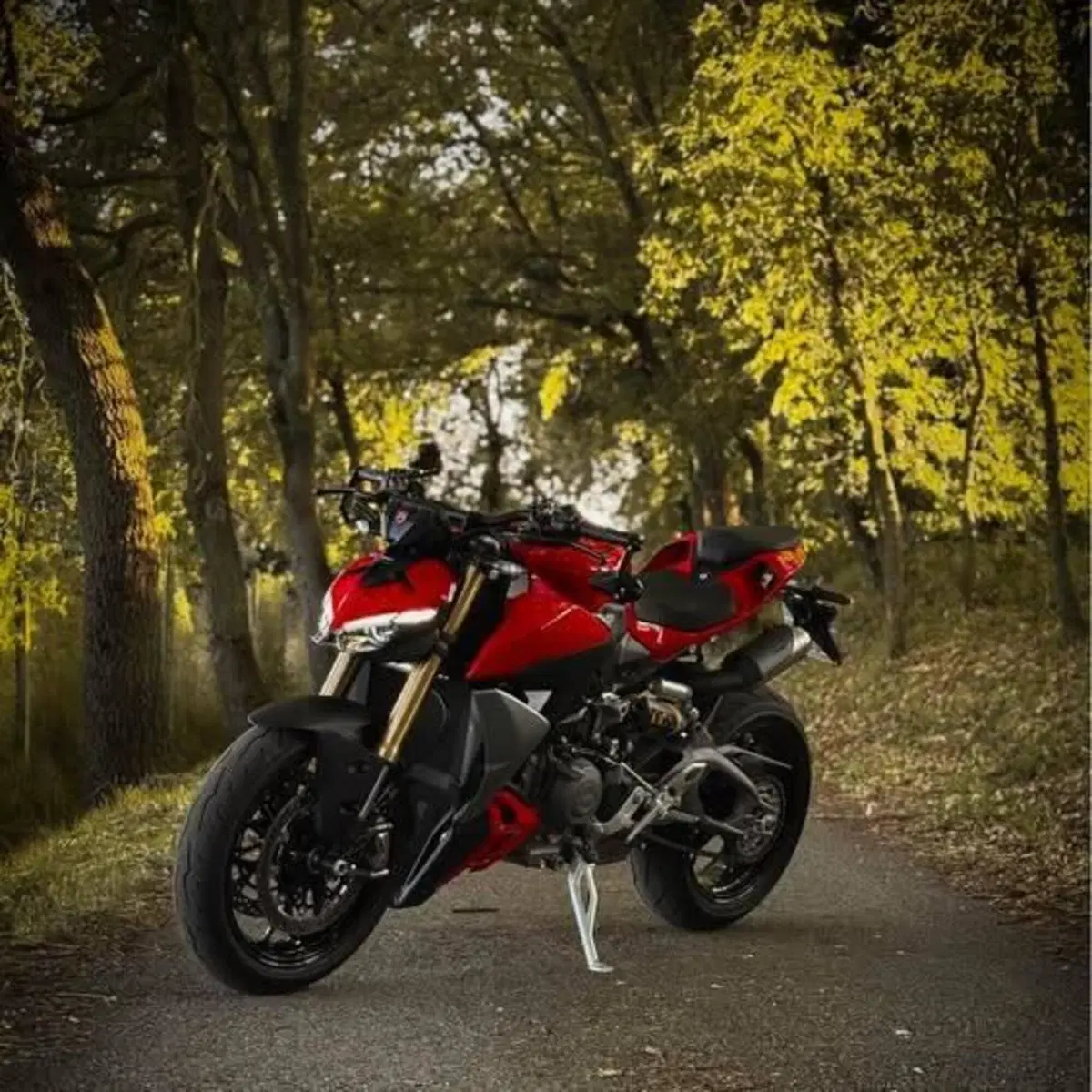 Ducati Streetfighter V2 (2025 - 26) (4)