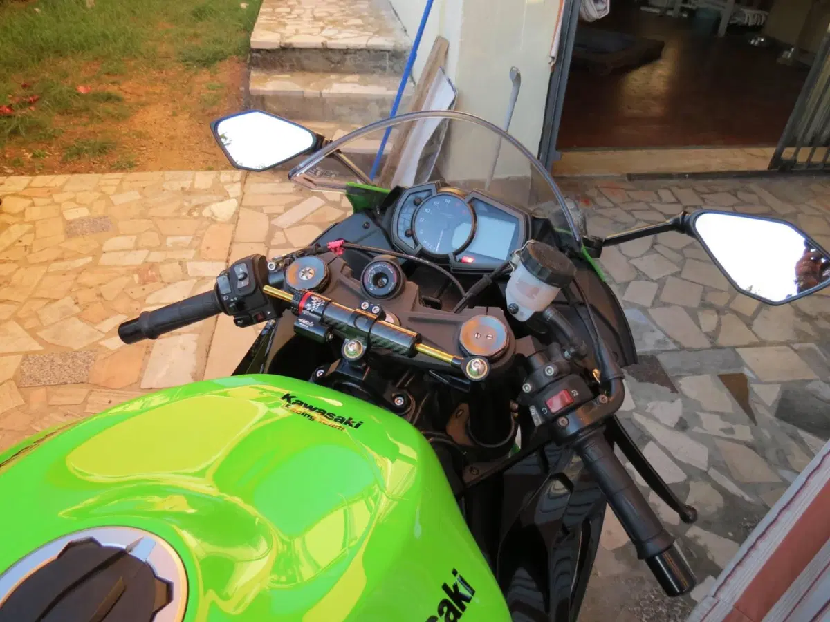 Kawasaki Ninja 636 ZX-6R KRT Performance (2019 - 20) (6)