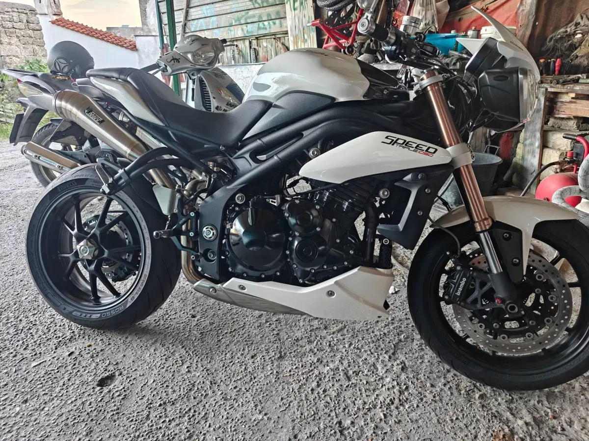 Triumph Speed Triple 1050 ABS (2011 - 15) (2)