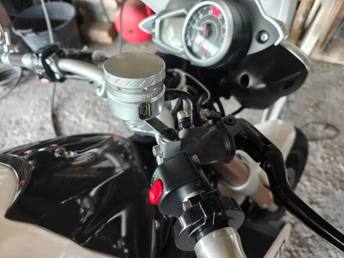 Triumph Speed Triple 1050 ABS (2011 - 15) (3)