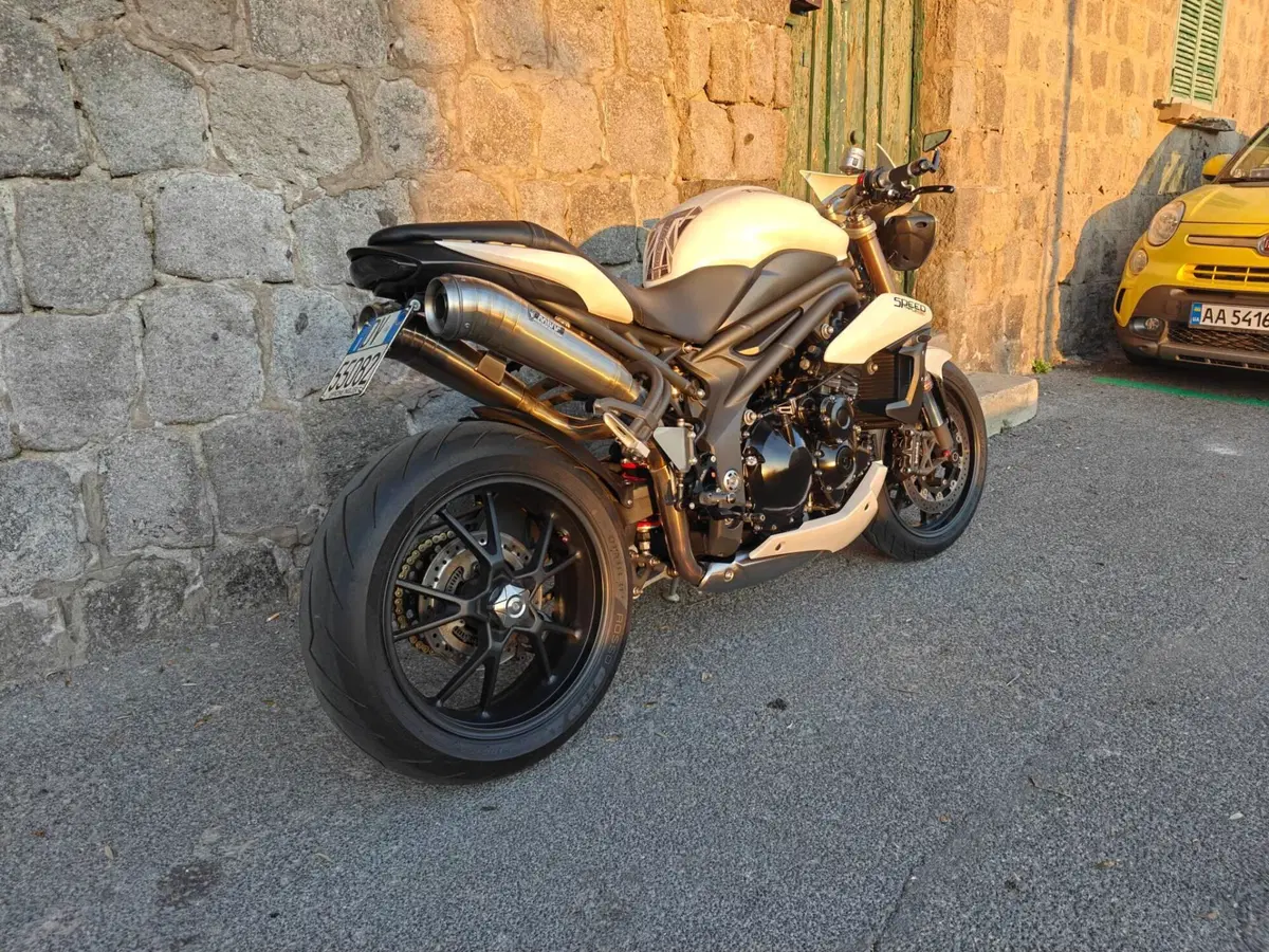 Triumph Speed Triple 1050 ABS (2011 - 15) (5)