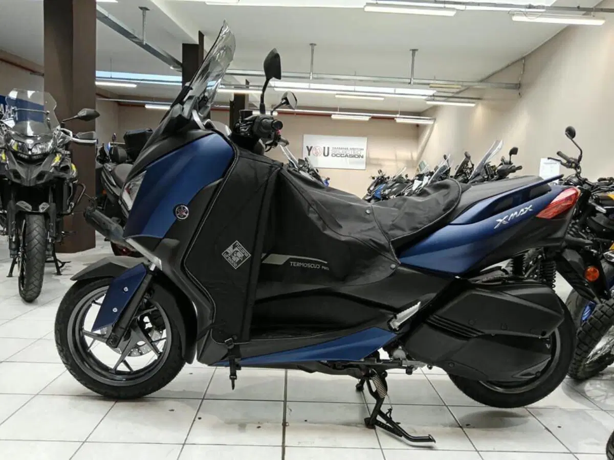Yamaha X-Max 300 ABS (2017 - 20) (3)