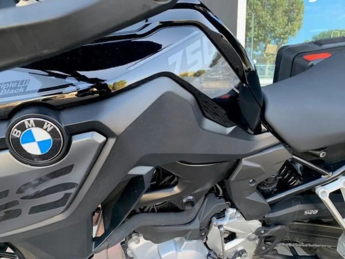 Bmw F 750 GS (2021 - 24) (9)