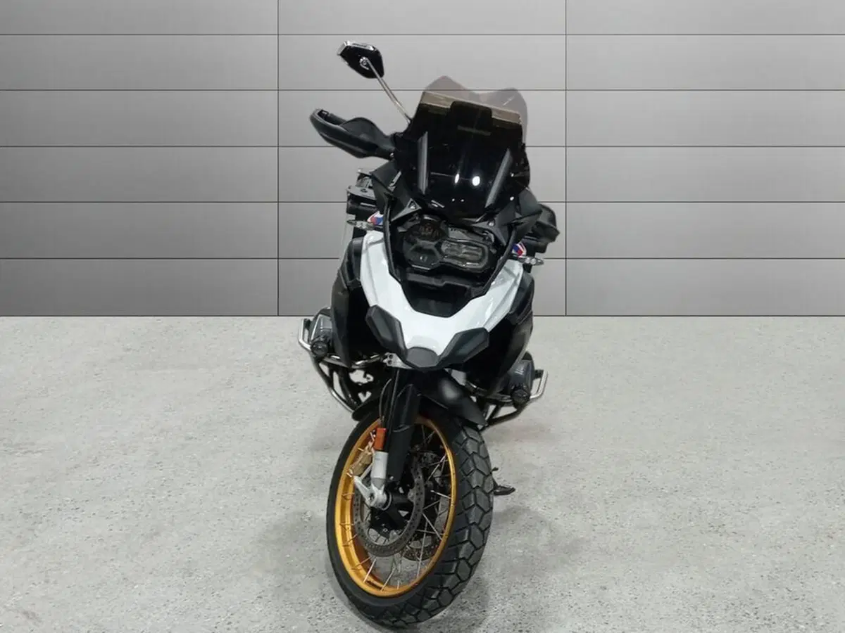 Bmw R 1250 GS (2019 - 20) (3)