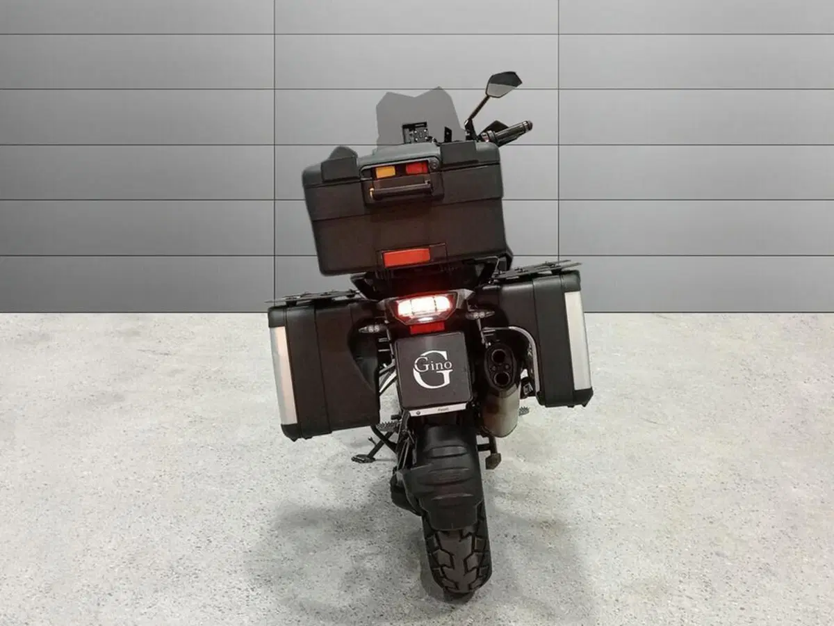 Bmw R 1250 GS (2019 - 20) (7)