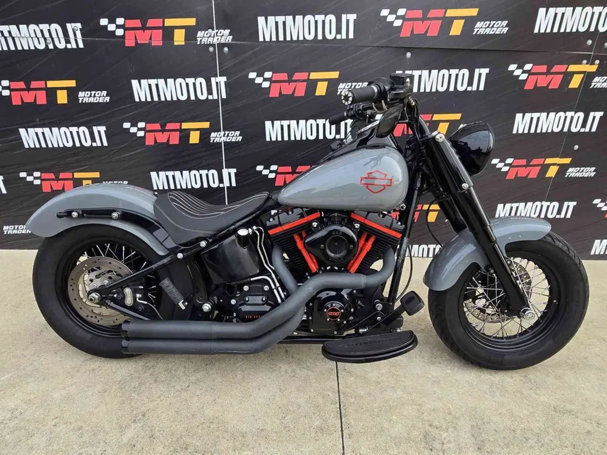 Harley-Davidson 1690 Slim (2011 - 16) - FLS