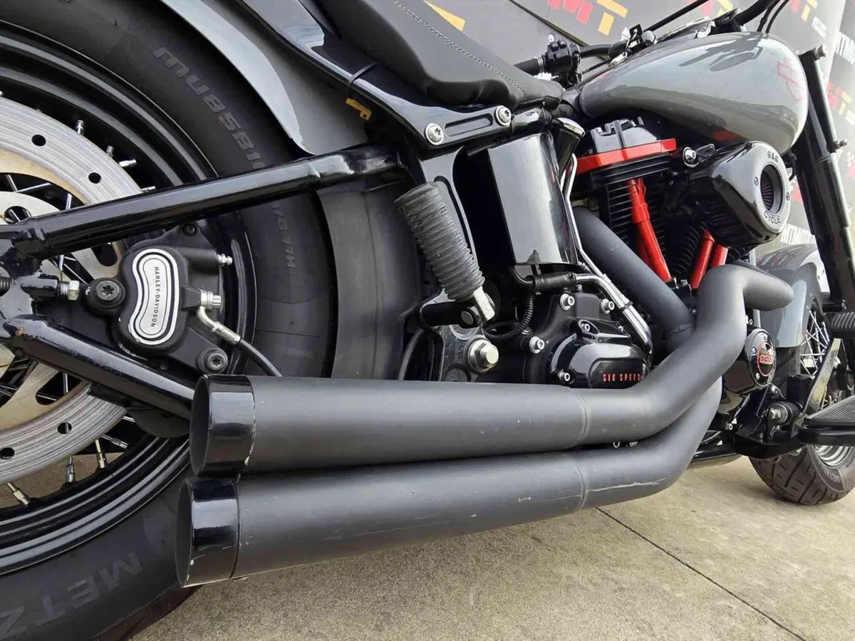 Harley-Davidson 1690 Slim (2011 - 16) - FLS (16)