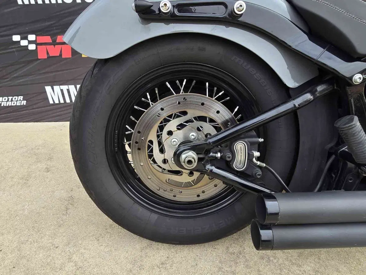 Harley-Davidson 1690 Slim (2011 - 16) - FLS (21)