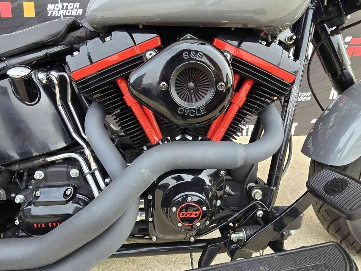 Harley-Davidson 1690 Slim (2011 - 16) - FLS (11)