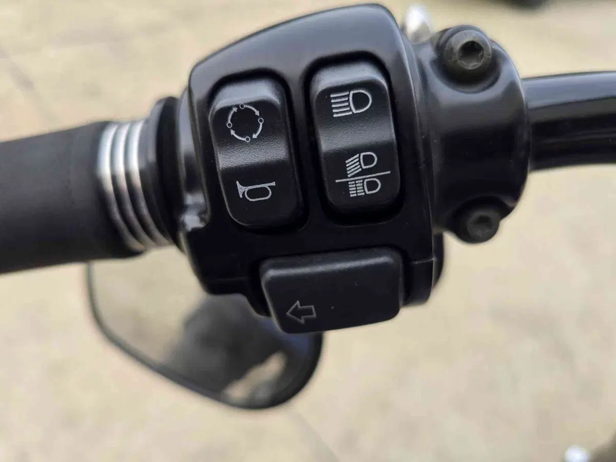 Harley-Davidson 1690 Slim (2011 - 16) - FLS (22)