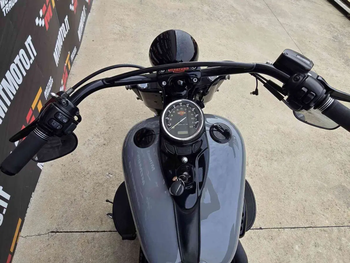 Harley-Davidson 1690 Slim (2011 - 16) - FLS (17)