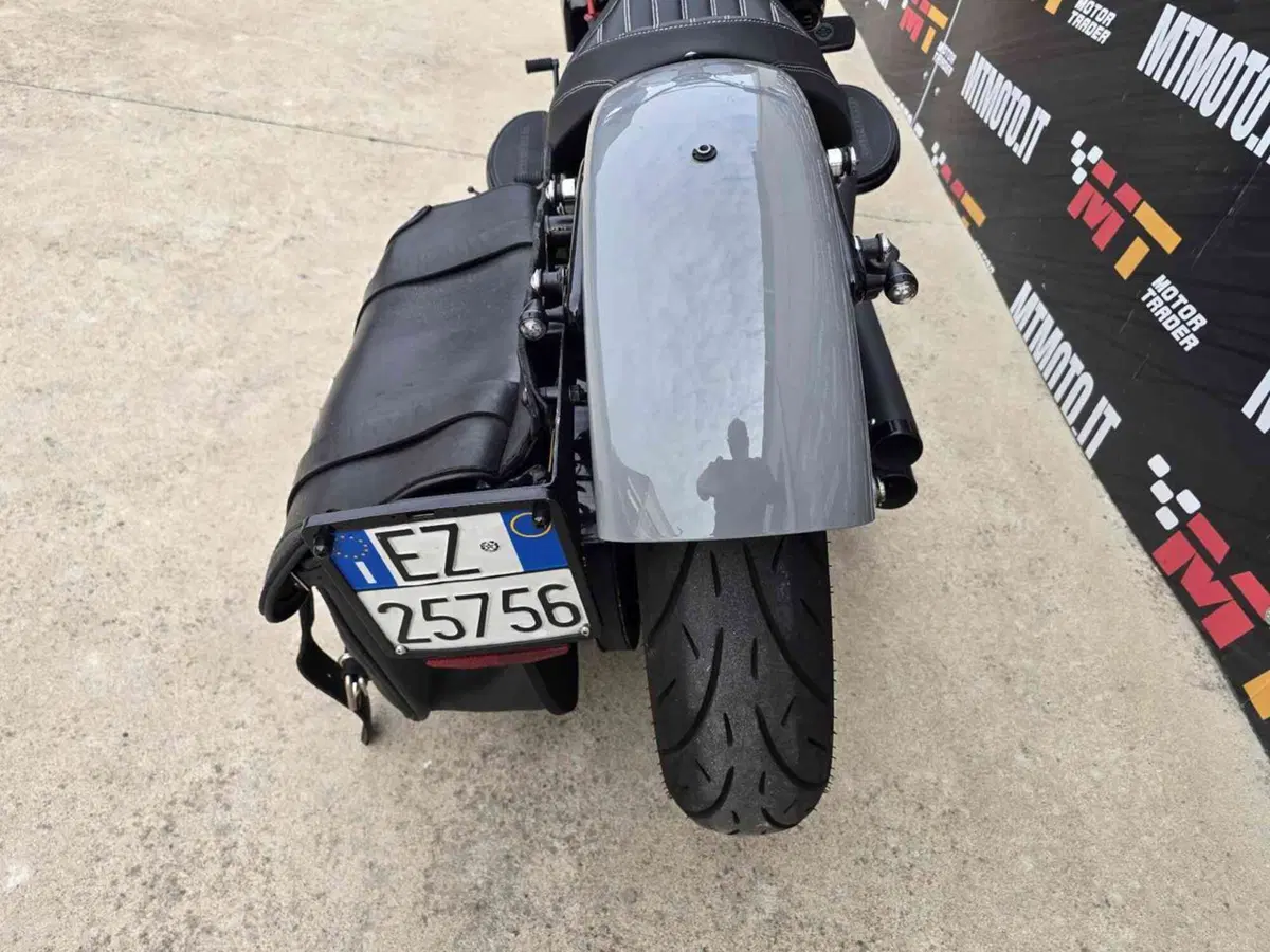 Harley-Davidson 1690 Slim (2011 - 16) - FLS (7)